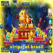 stripcjat brasil